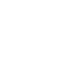 CYZONE